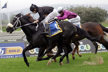 Peter Culture winning at Scottsville for trainer Robbie Hill and breeder/owner Tmen Stables. Image: Gold Circle