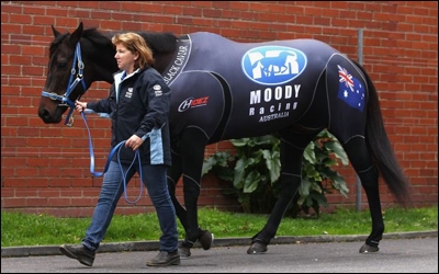 Black Caviar in her compression suit, which goes all the way down her legs. Image: Telegraph.co.uk