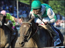 Royal Delta - winner of the 2011 Breeders' Cup Ladies Classic