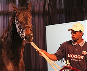 KZN-Breds Represented At 2012 Emperor's Palace National Yearling Sale