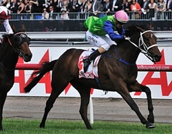 Sangster, out of a Spectrum mare. Image: race.com.au