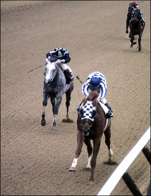 Secretariat winning the 1973 Preakness, one of the legs of the Triple Crown he won. Image: Getty Images