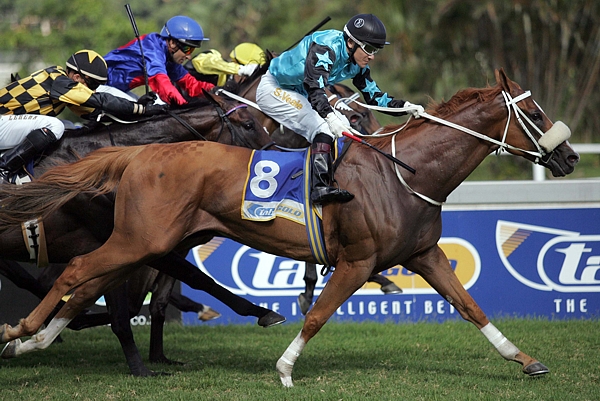 Silver Age winning the Gr 3 Christmas Handicap yesterday at Clairwood. Image: Gold Circle