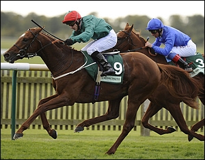 Steeler, who recently broke the course record in a Gr 2 at Newmarket. Image: sportinglife.com