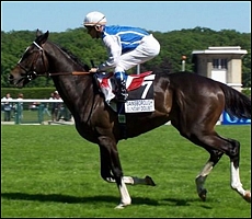 Sunday Doubt, half-brother to A.P. Answer. Image: Google Images