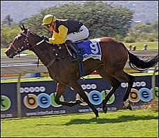 That So Atso - winning her debut by 1.25 lengths. Image: Gold Circle
