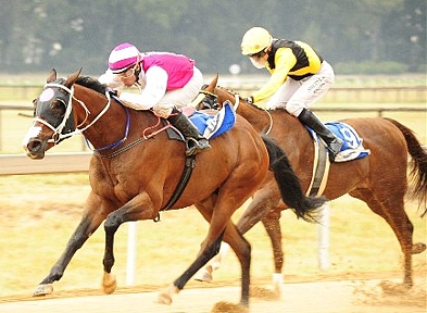 The Mouseketeer winning the Riverside Handicap Listed. Image: JC Photos