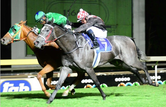 Virgo's Babe and Samba Serenade finising in a 1-2 in the Swallow Stakes. Image: JC Photos