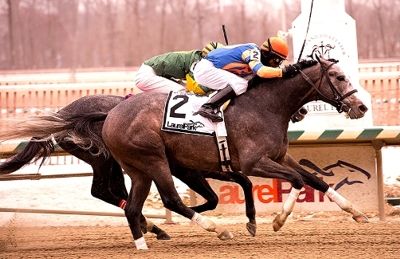 The two greys, Misconnect and Cutty Shark fighting it out to the finish with a common denominator - Unbridled's Song. Image: drf.com