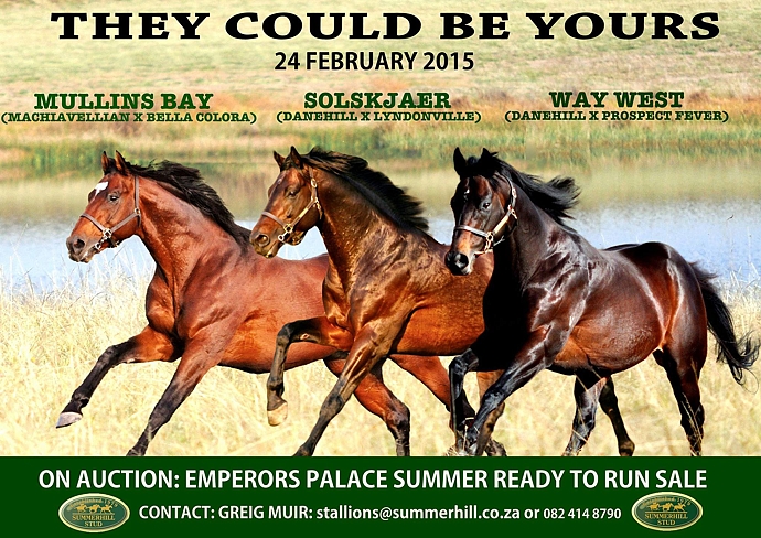 Summerhill Stud: They Could Be Yours