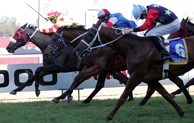 Mogok's Wild One defeats a quality field to take home the Gr3 Lonsdale Stirrup Cup. Image: Gold Circle