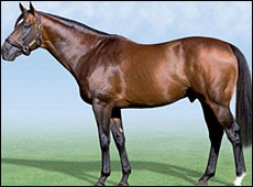 Requiem - Spring Valley Stud