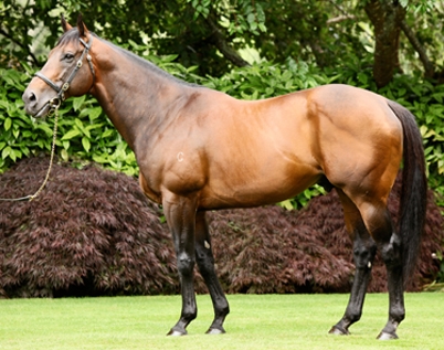 Fastnet Rock(AUS), Image: Coolmore Stud