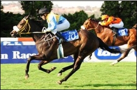 Festival Of Fire, winning the Joburg Spring F & M Challenge Gr 3. Image: sportingpost.co.za
