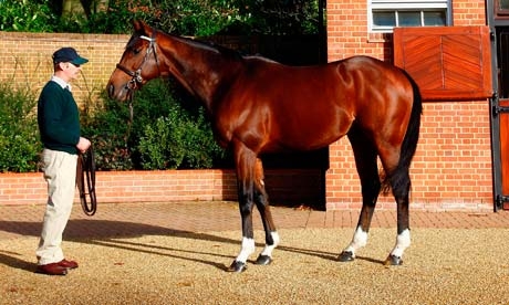 Frankel at Banstead Manor. Image: Google Images
