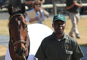 Pierre Jourdan. Image: Candiese Marnewick