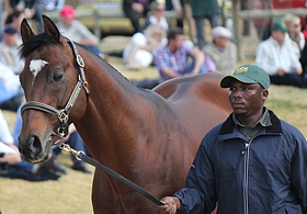 Mullins Bay(GB). Image: Candiese Marnewick