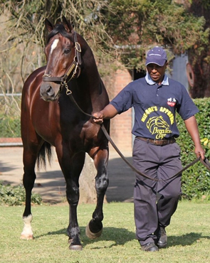 Miesque's Approval at Scott Bros. Image: Candiese Marnewick