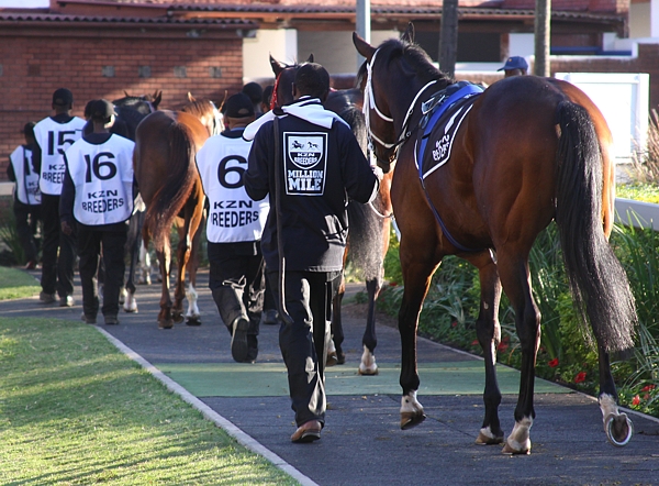 KZN Breeders Million Mile at Greyville, July 2012. Image: John Lewis