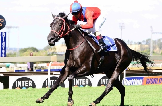 Lazer Star. Image: JC Photos/sportingpost.co.za