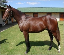 Lot 41 - Kali's Insignia