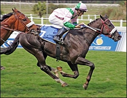 Mahubo, winning while still in South Africa. Image: Gold Circle