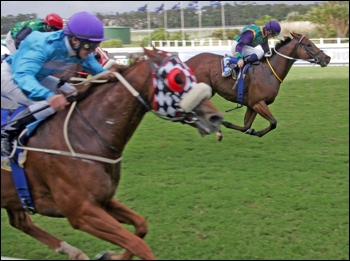Maliyakhe winning for Sabine Plattner, trained by Yogas Govender. Image: Gold Circle