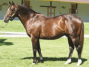 Pulpit. Image: Claiborne Farm
