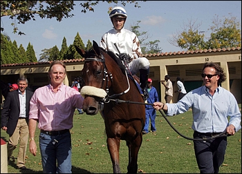 Backworth Stud's Sugar Rush. Image: Gold Circle