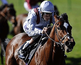 Toronado, by High Chaparral.