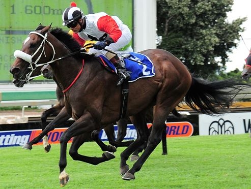 Whatalady. Image: Sportingpost.co.za/JC Photos
