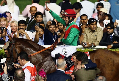 Animal Kingdom. Image: AFP