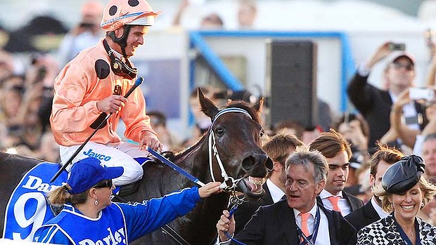 Black Caviar after her 25th win. Image: Jenny Evans
