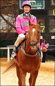 Beacon Flare, by Spectrum, standing at Yellow Star Stud. Image: racingassociation.co.za