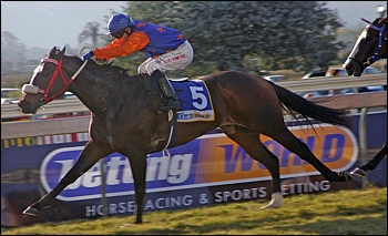 Be Assured, winning at Scottsville earlier in his career. The son of Woodborough won the Hampton Listed Handicap at the Vaal today. Image: Gold Circle