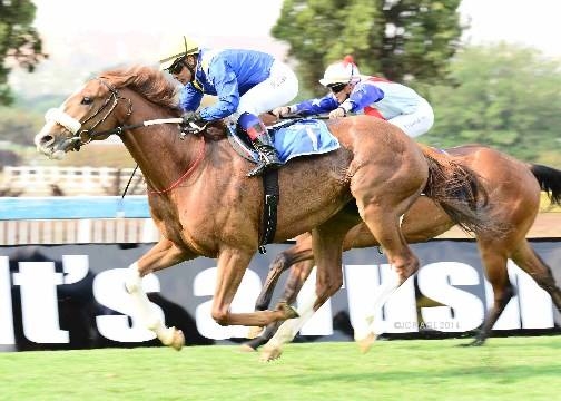 Bezanova winning previously at Turffontein. Photo: JC Photos