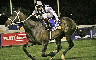Black Wing, bred by Summerhill Stud. Image: Gold Circle