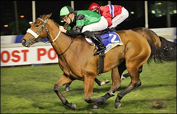 Chocolicious winning at Greyville on Friday evening. (Photo : Gold Circle/Backworth Stud)