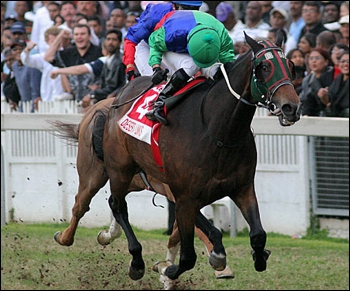 Desert Links, bred by Summerhill Stud. Image: John Lewis