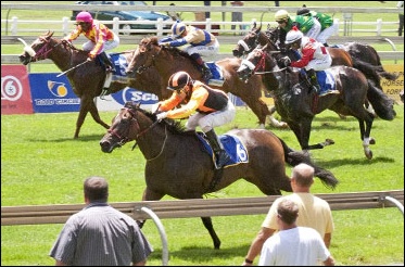Devonesque - Bred by Backworth Stud (Photo : Gold Circle)