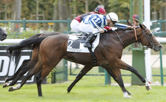 Eightfold Path, winning the Gr 3 Prix Eclipse. Image: APRH