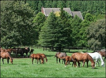 Paddocks