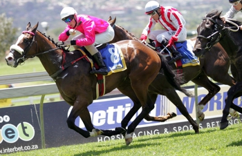 Yellow Star bred Fire The Rocket, winning from just three starts. He has placed in his other two. Image: Gold Circle