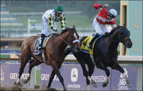 Fort Larned by E Dubai, raging home in the Breeders Cup Classic Gr 1. Fort Larned shares a damline with Just As Well, standing at Spring Valley Stud. Image: bloodhorse.com