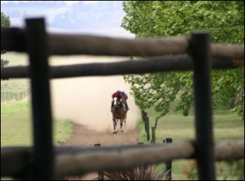 Gallops