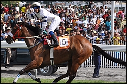 Ice Axe. Image: sportingpost.co.za