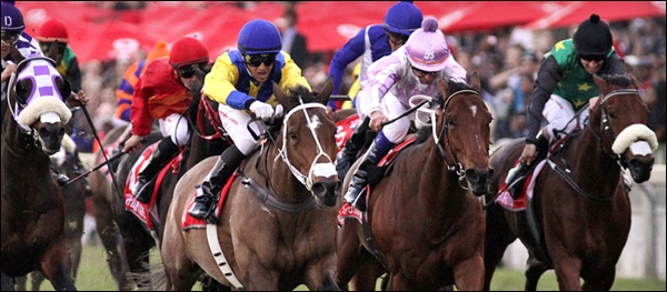 Igugu(AUS) and Pierre Jourdan, products of the Emperor's Palace Ready-To-Run Sale. Image: Summerhill Stud