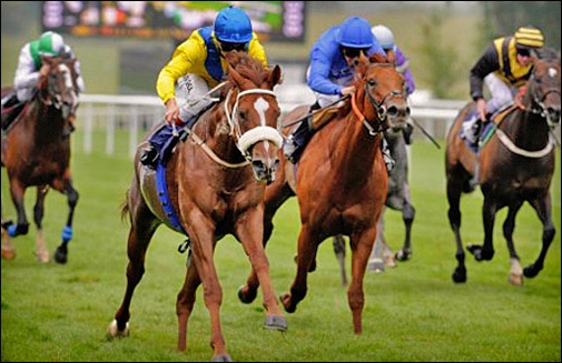Imbongi, winning the John Bovington Memorial Criterion Stakes (Gr3). Image: Daily Mail
