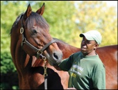 Kahal - Summerhill Stud