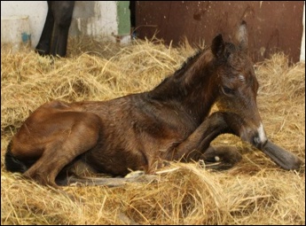 Mon Sang x Keeping Track by Rambo Dancer